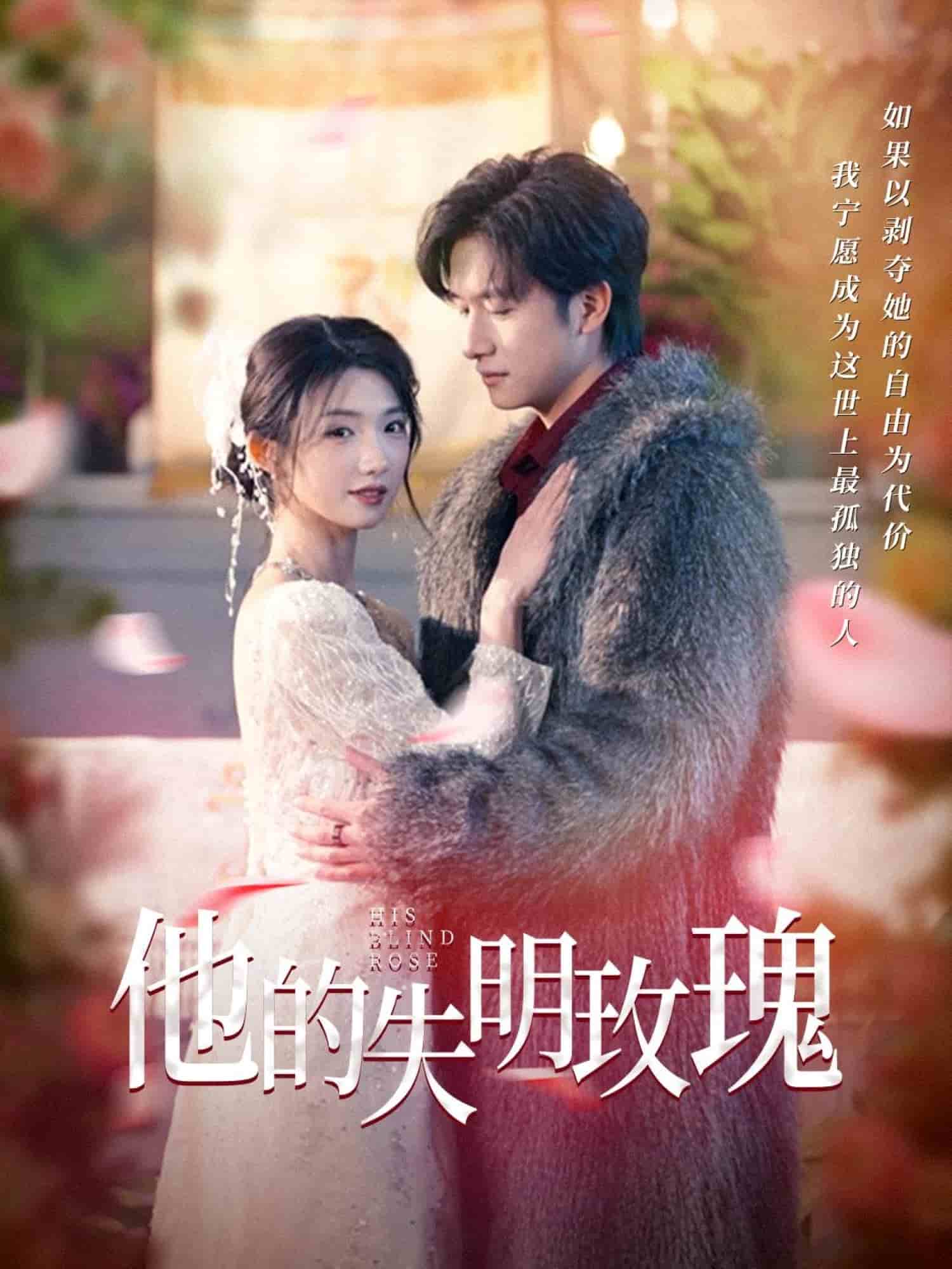 他的失明玫瑰封面图