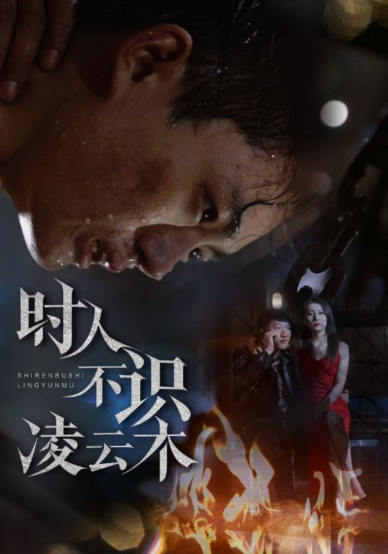 时人不识凌云木封面图