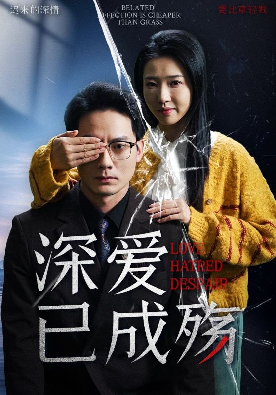 深爱已成殇封面图