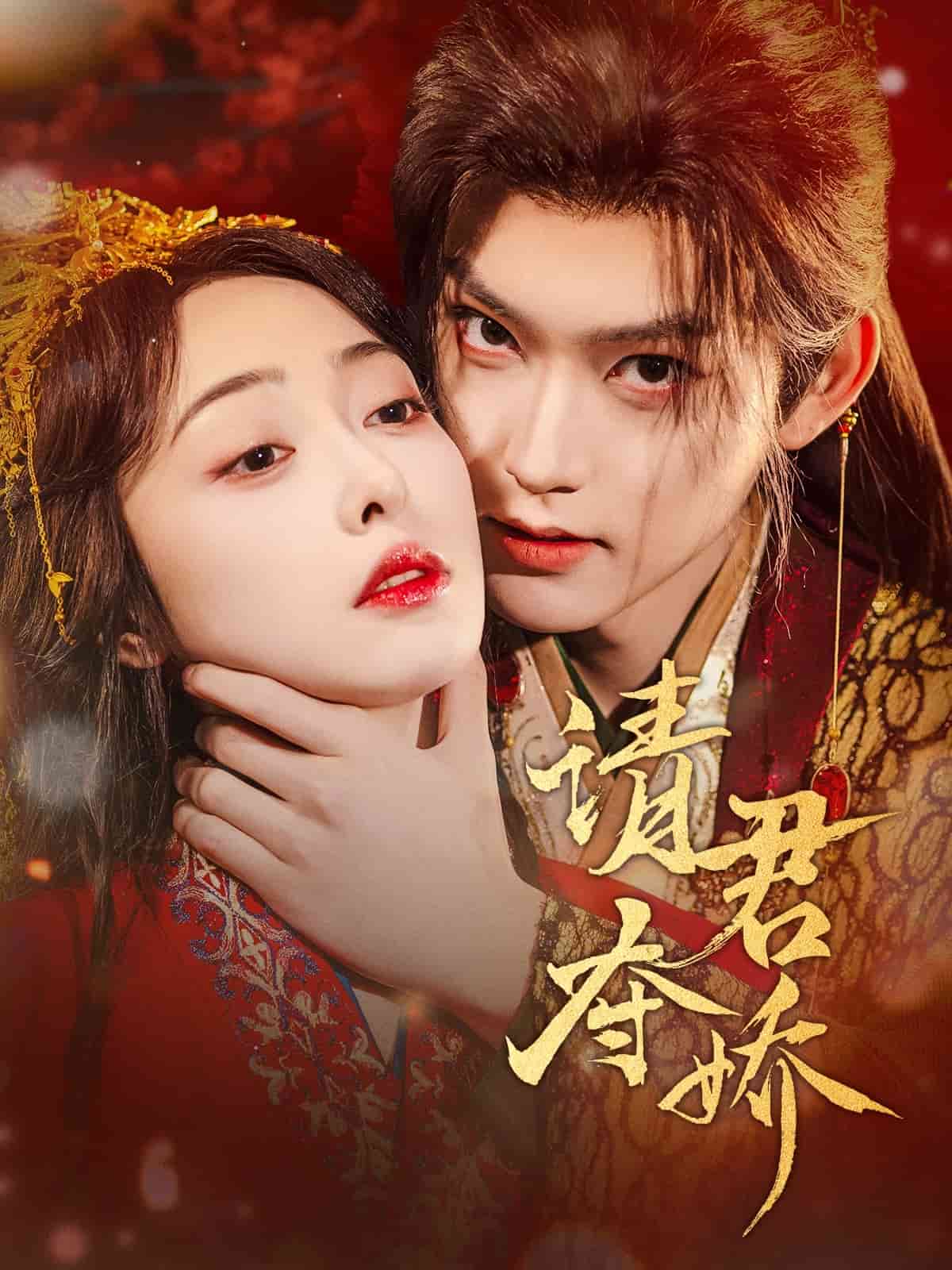 请君夺娇封面图