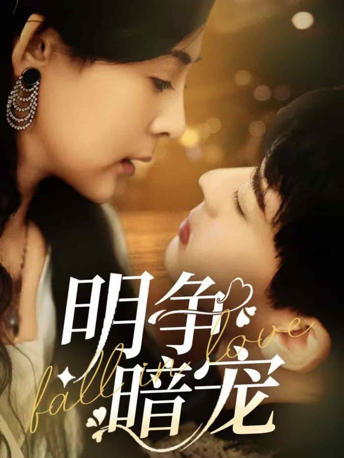 明争暗宠封面图