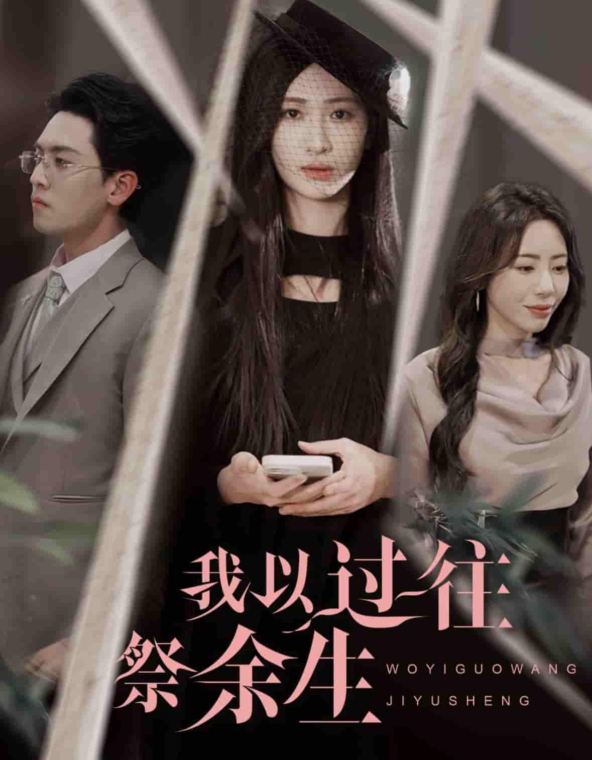 我以过往祭余生封面图