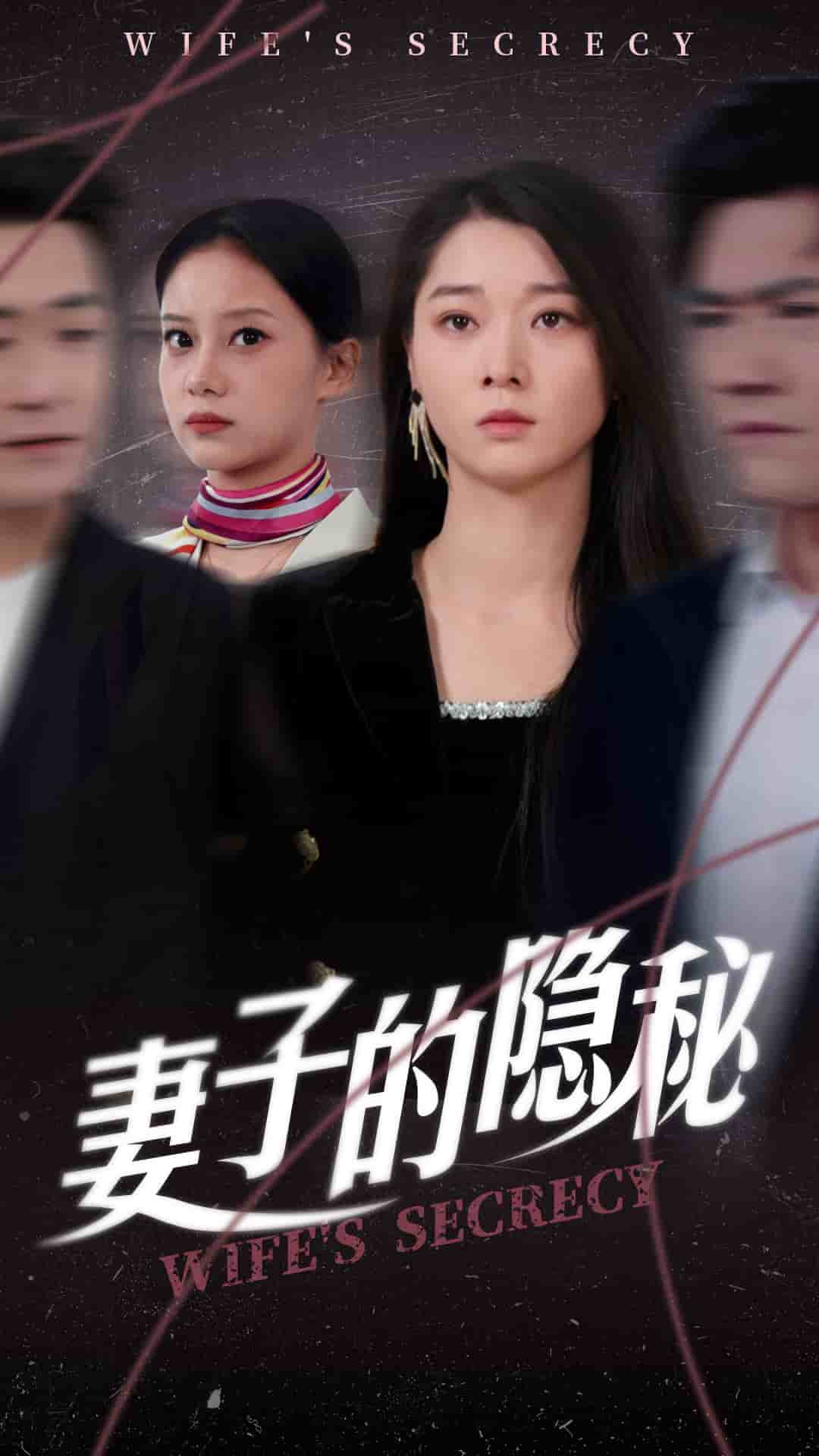 妻子的隐秘封面图