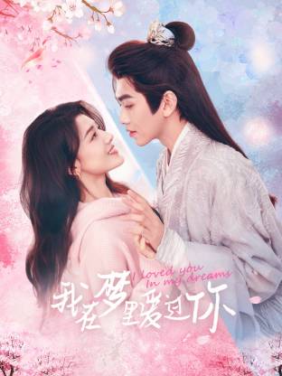 我在梦里爱过你封面图