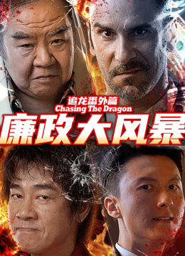追龙番外篇之廉政大风暴封面图