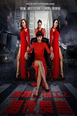 赤裸女特工2暗夜舞者封面图
