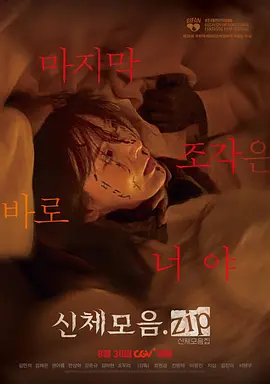 身体集合.zip封面图