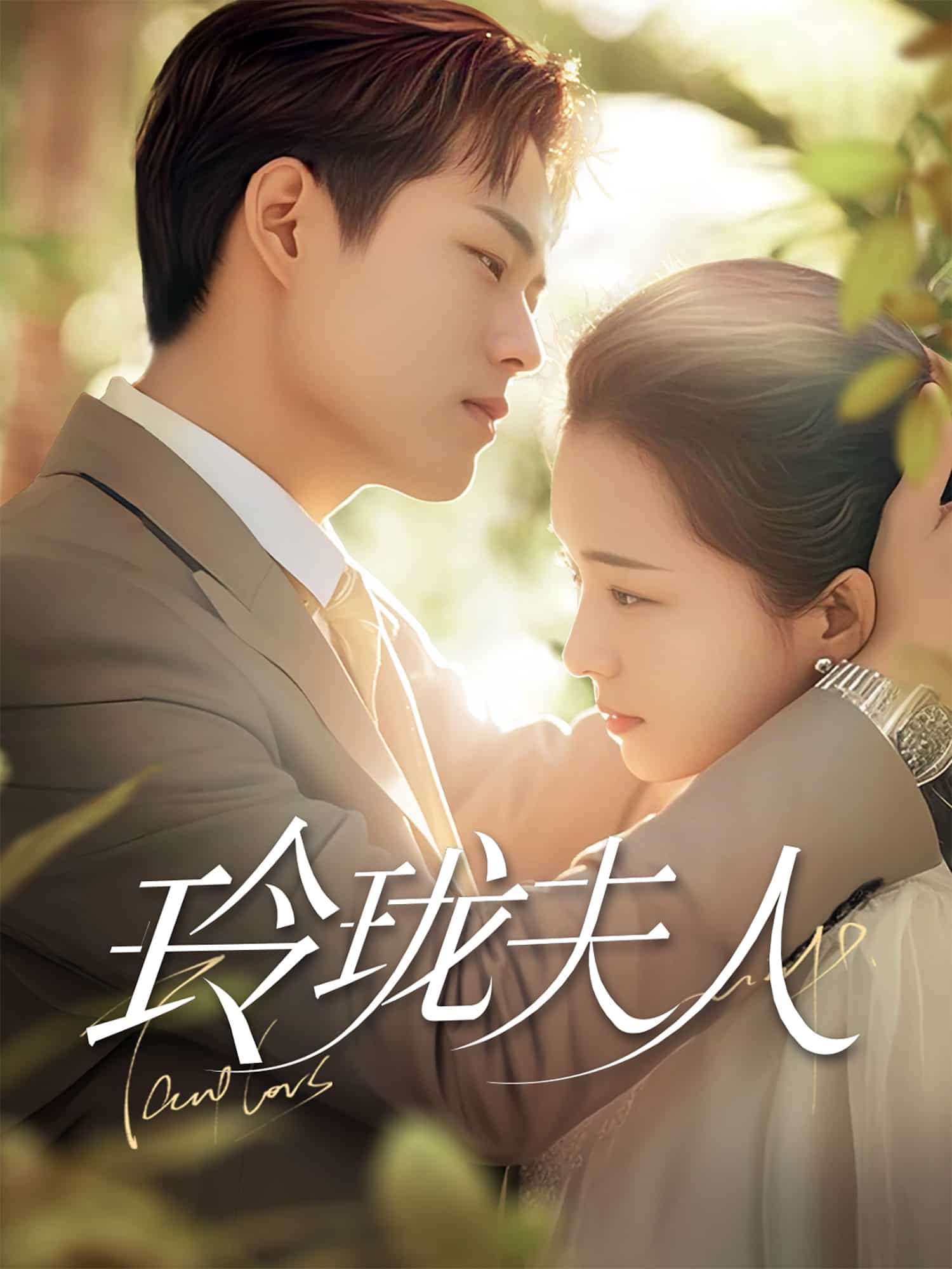 玲珑夫人封面图