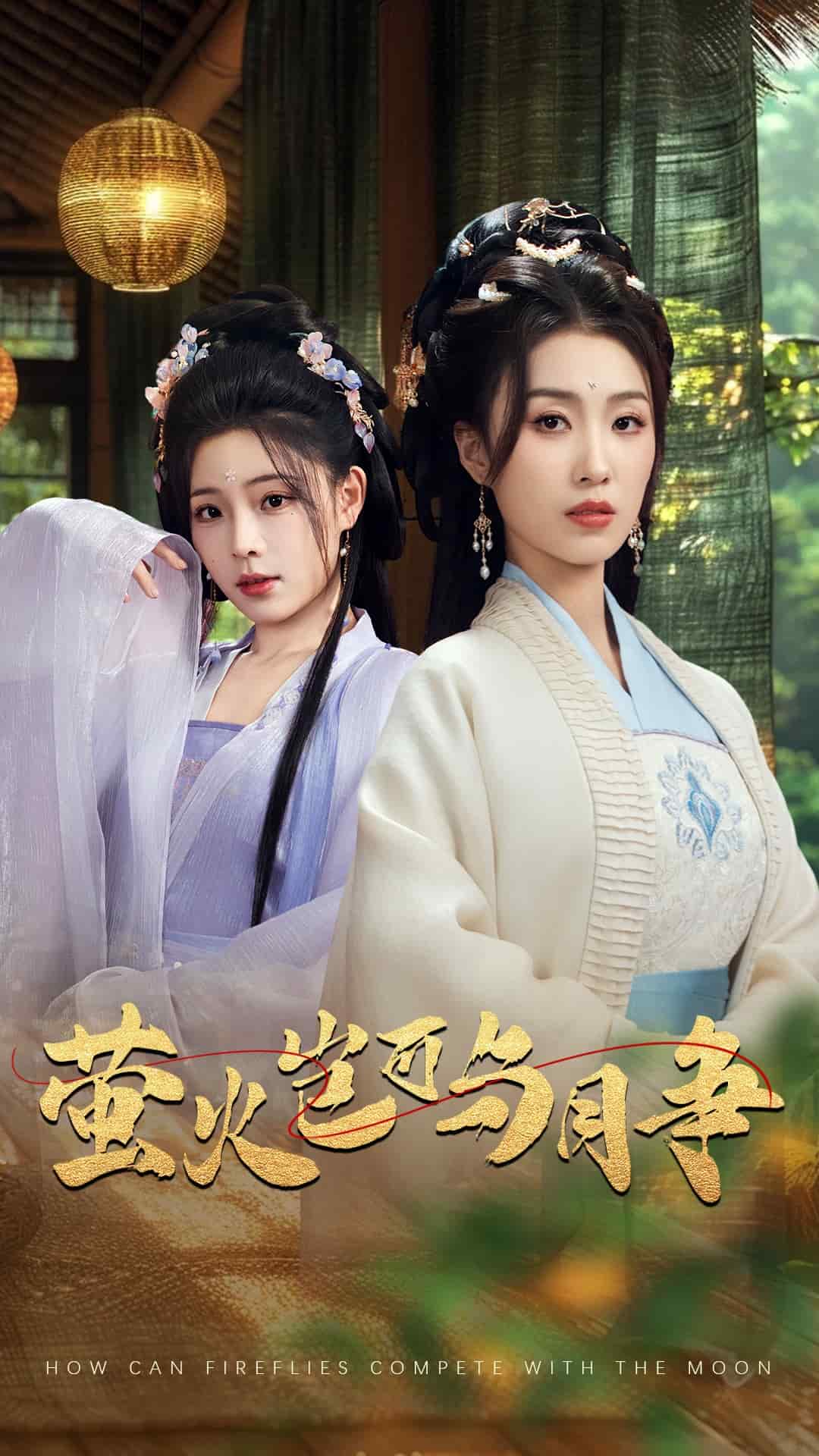 萤火岂可与月争封面图