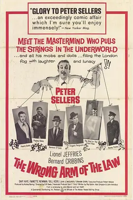 做贼抓贼封面图