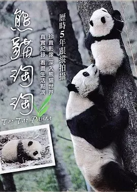 熊猫淘淘封面图