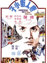 唐人街功夫小子封面图