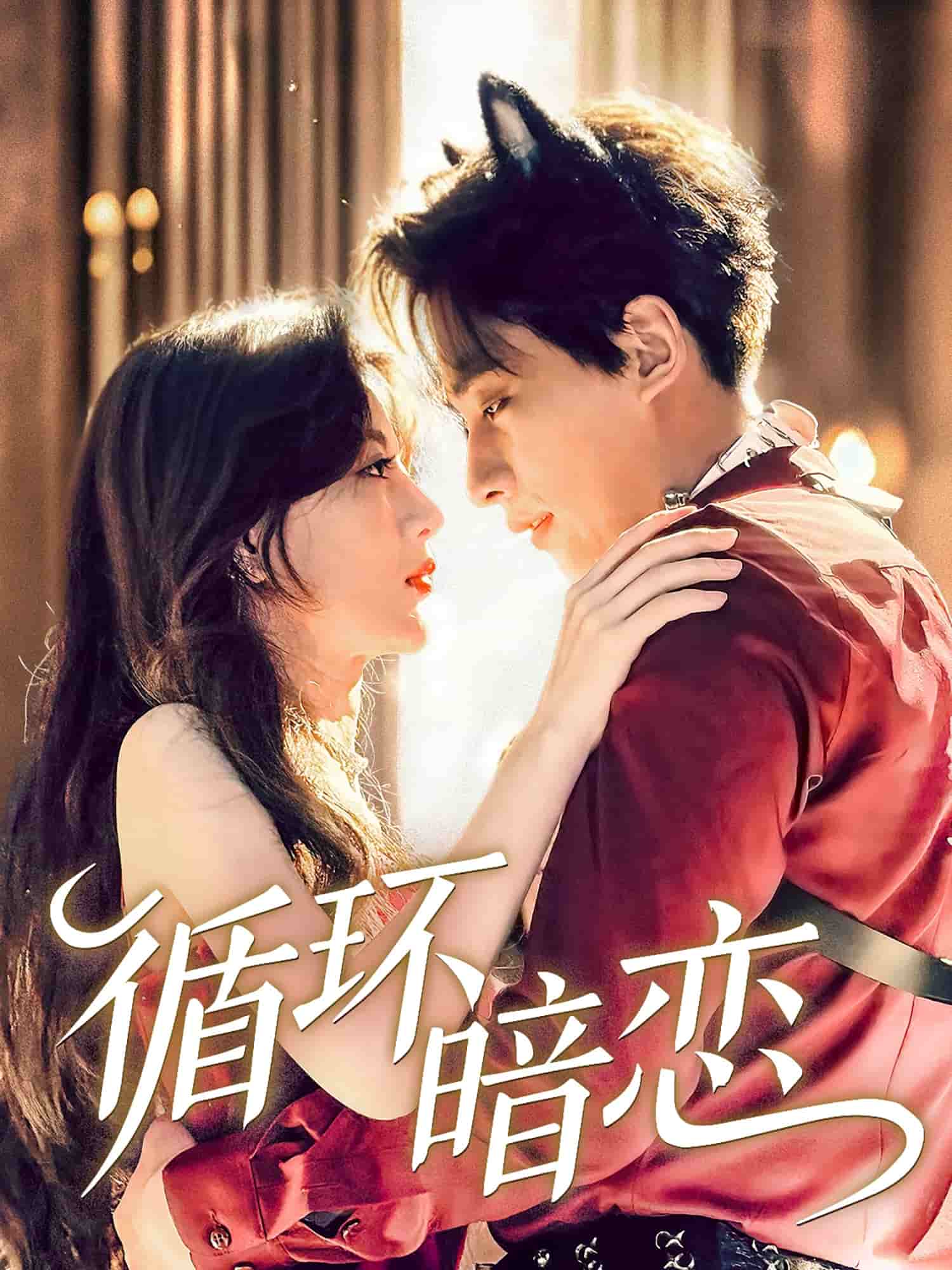 循环暗恋封面图