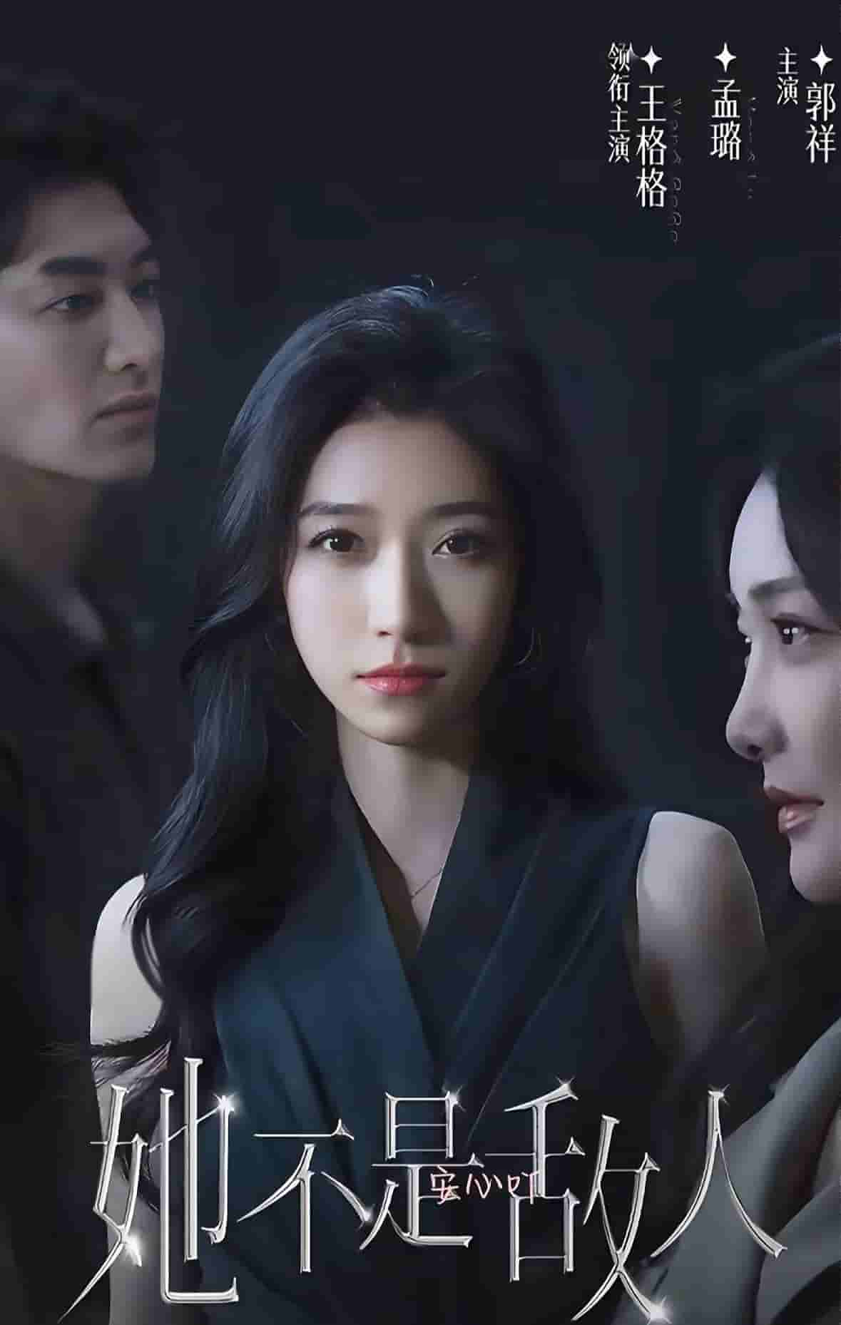 她不是敌人封面图