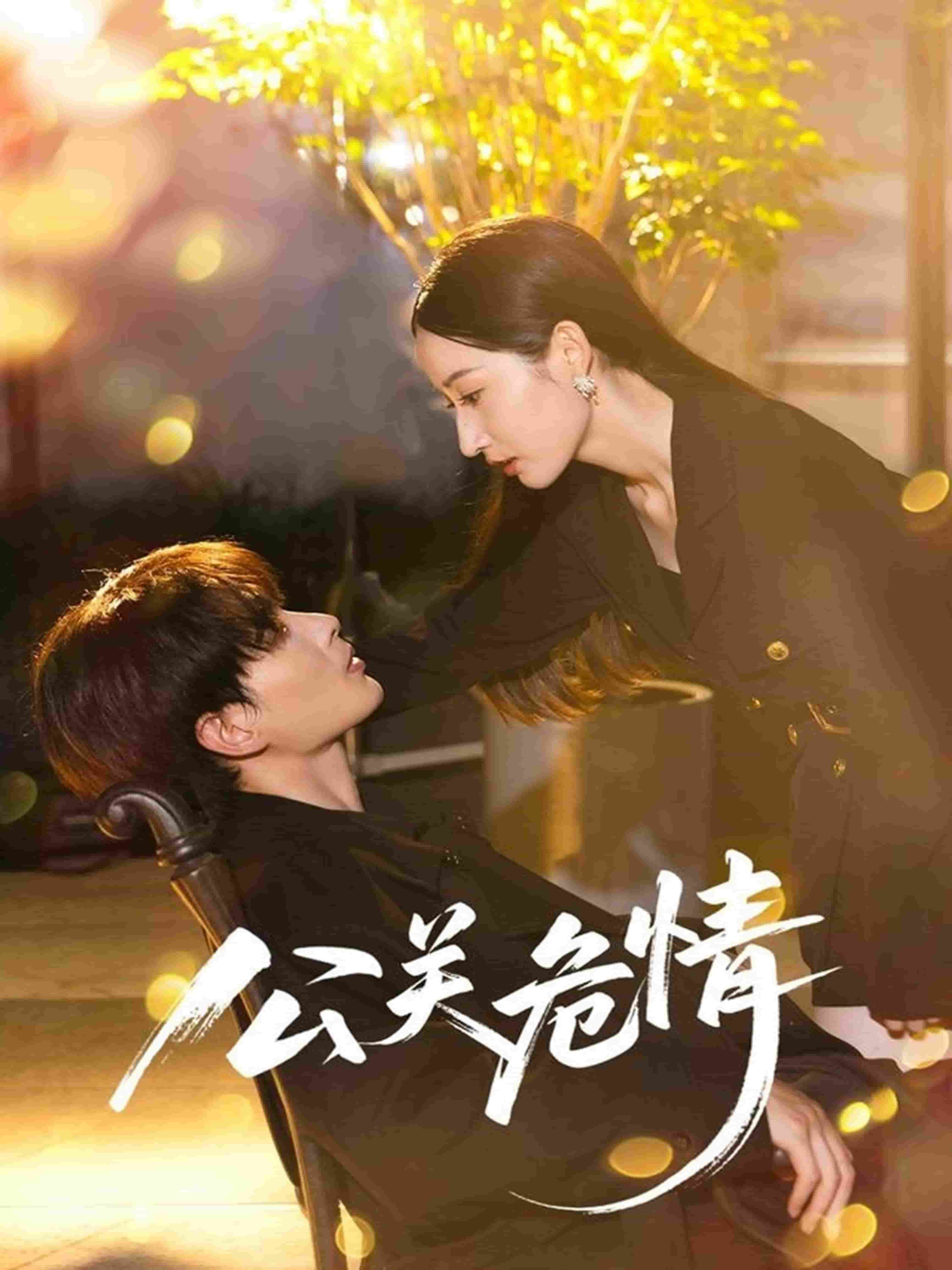 公关危情封面图