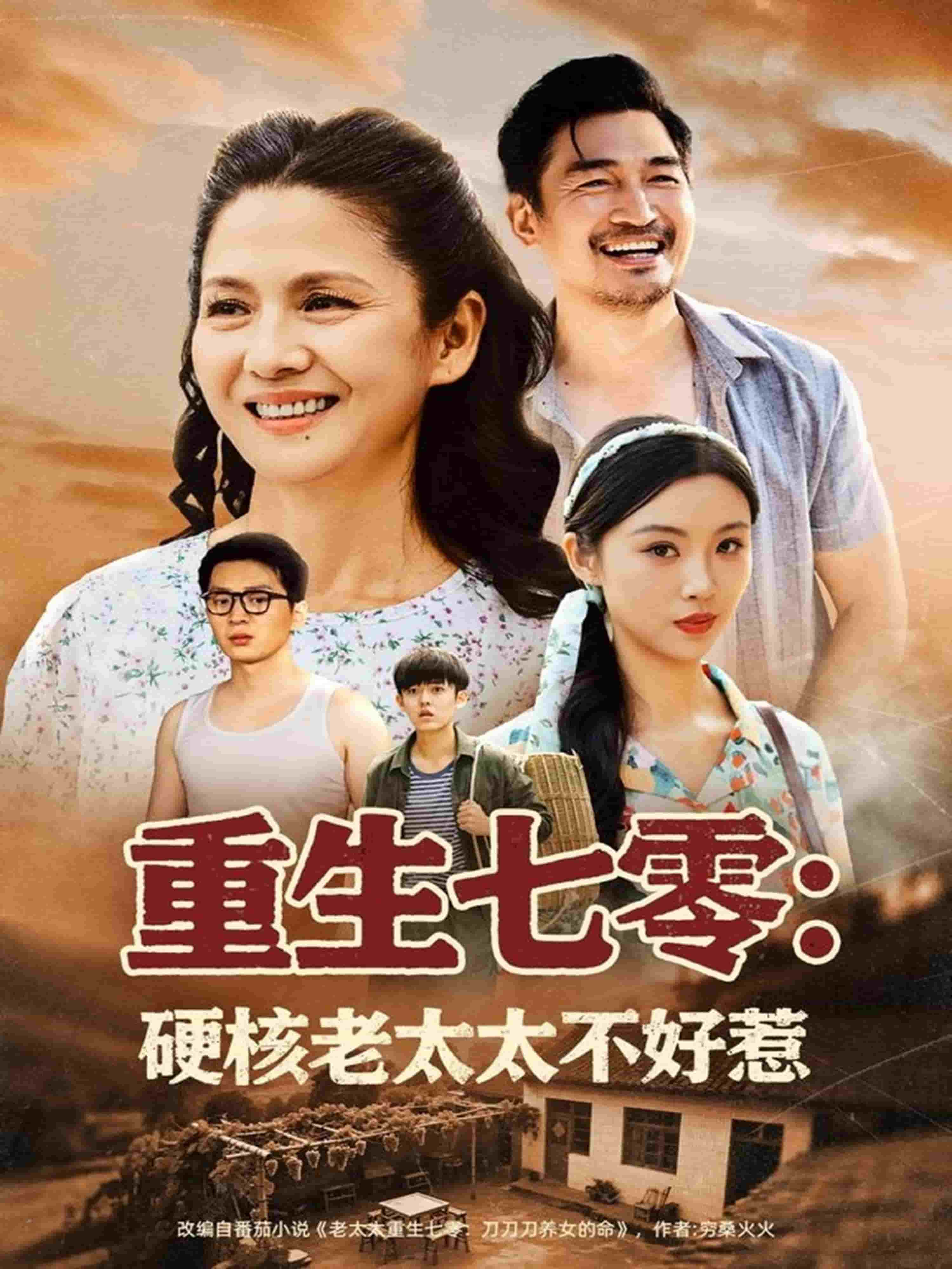 重生七零硬核老太太不好惹封面图