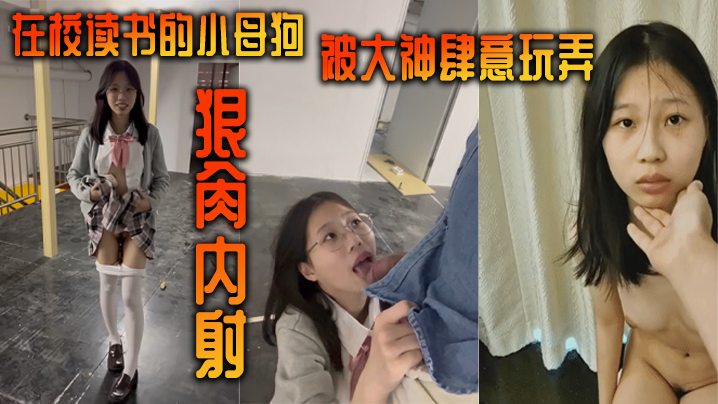 在校读书的小母狗被大神肆意玩弄，狠肏内射封面图