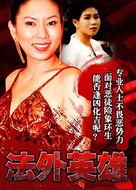 法外英雄粤语封面图