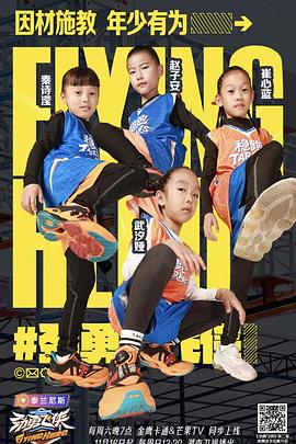 劲勇飞侠封面图